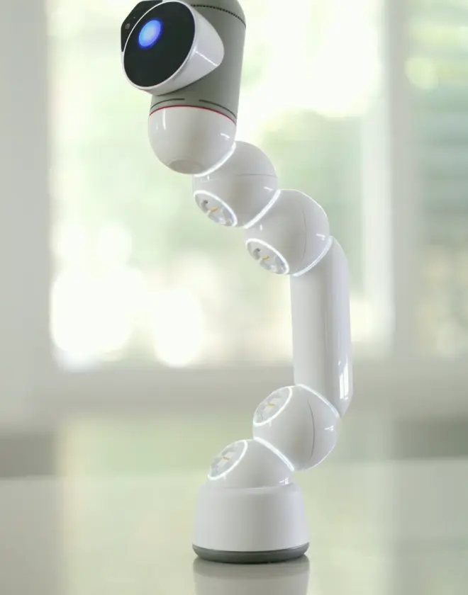 Remote camera head